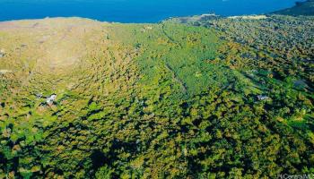 87-2721 Hawaii Belt Rd  Captain Cook, Hi vacant land for sale - photo 5 of 20