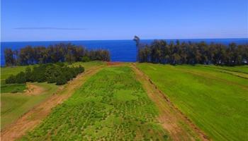 9 Beach Rd  Pepeekeo, Hi vacant land for sale - photo 1 of 13