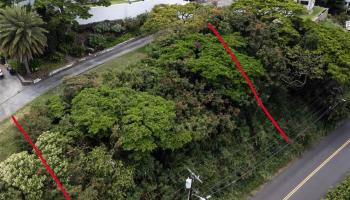 900 Alewa Drive  Honolulu, Hi vacant land for sale - photo 4 of 10