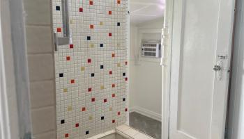 906  Belser Street Kaimuki, Diamond Head home - photo 4 of 9