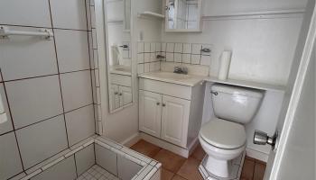 906  Belser Street Kaimuki, Diamond Head home - photo 6 of 9