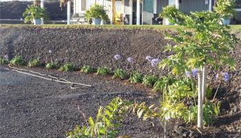 92-8344  Hibiscus Dr Hovr,  home - photo 1 of 25