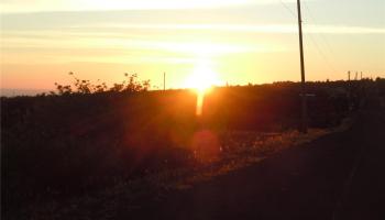 92-8344  Hibiscus Dr Hovr, Kau home - photo 4 of 25