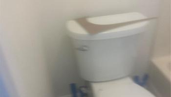 94-1077 Kepakepa Street Waipahu - Rental - photo 6 of 8