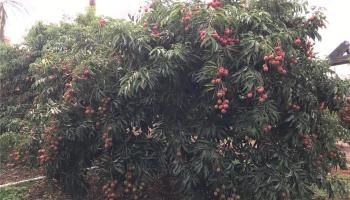 94-1100 Kunia Road 0045 Waipahu, Hi vacant land for sale - photo 1 of 8