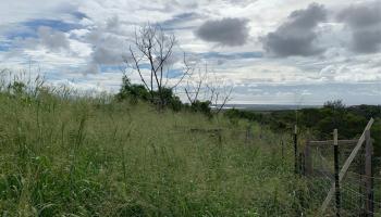 94-1100 KUNIA Road 13 H Waipahu, Hi vacant land for sale - photo 2 of 5