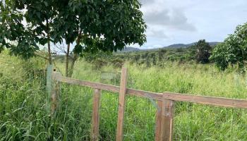 94-1100 KUNIA Road 13 H Waipahu, Hi vacant land for sale - photo 4 of 5