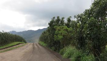 94-1100 Kunia Road 42F Waipahu, Hi vacant land for sale - photo 3 of 25
