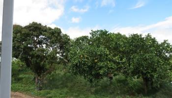 94-1100 Kunia Road 42F Waipahu, Hi vacant land for sale - photo 6 of 25