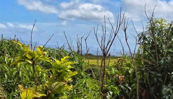 94-1100 Kunia Road 86F Waipahu, Hi vacant land for sale - photo 5 of 17