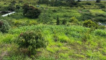 94-1100 Kunia Rd 88 Waipahu, Hi vacant land for sale - photo 1 of 3