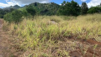94-1100 Kunia Rd 88 Waipahu, Hi vacant land for sale - photo 2 of 3