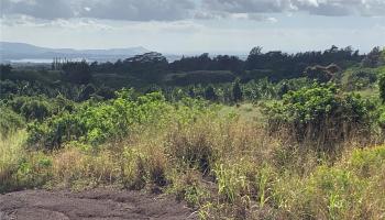 94-1100 Kunia Rd 88 Waipahu, Hi vacant land for sale - photo 3 of 3