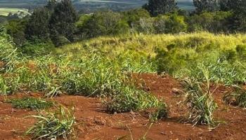 94-1100 Kunia Road 9 Waipahu, Hi vacant land for sale - photo 4 of 15