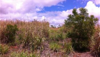 94-1100 Kunia Rd 91 Waipahu, Hi vacant land for sale - photo 5 of 5