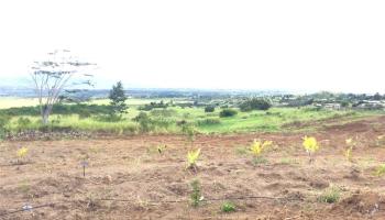 94-1100 Kunia Rd 99 Waipahu, Hi vacant land for sale - photo 1 of 6