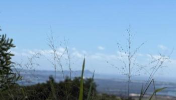 94-1100 KUNIA Road 99C-2,3 Waipahu, Hi vacant land for sale - photo 4 of 6