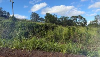 94-1100 KUNIA Road 99C-2,3 Waipahu, Hi vacant land for sale - photo 6 of 6
