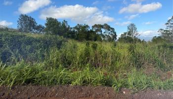 94-1100 Kunia Rd 9 C-5 Waipahu, Hi vacant land for sale - photo 3 of 8