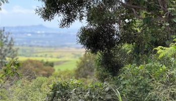 94-1100 Kunia Rd 9 C-5 Waipahu, Hi vacant land for sale - photo 5 of 8