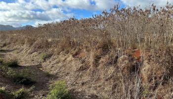 94-944 Anoiki Street  Waipahu, Hi vacant land for sale - photo 2 of 6