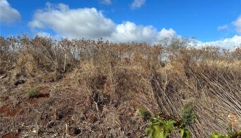 94-944 Kunia Rd  Waipahu, Hi vacant land for sale - photo 4 of 8