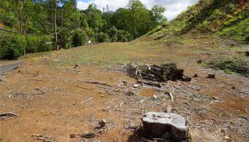 95-140 Waikalani Dr  Honolulu, Hi vacant land for sale - photo 3 of 8