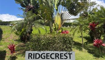 Ridgecrest-Melemanu condo # C405, Mililani, Hawaii - photo 1 of 20