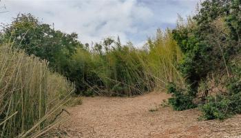95-246  Wailawa Street Waipio Acres/waikalani Woodlands, Central home - photo 5 of 14