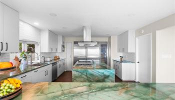 96  Moaniala Place Hawaii Loa Ridge, Diamond Head home - photo 5 of 25