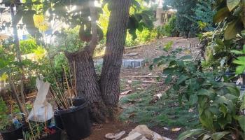 962 Spencer St HONOLULU - Multi-family - photo 4 of 10