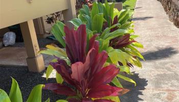 98-1379 Koaheahe Place Pearl City - Rental - photo 2 of 24