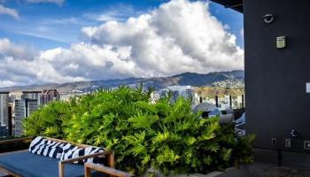 987 Queen Street Honolulu - Rental - photo 4 of 20