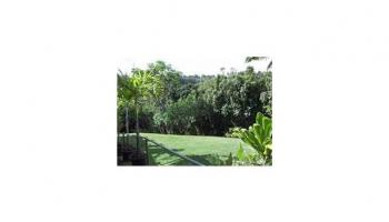 991230A Halawa Heights Rd B Aiea, Hi vacant land for sale - photo 4 of 8