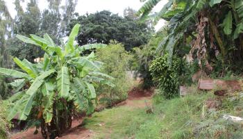 99-460 Fernridge Place C Aiea, Hi vacant land for sale - photo 2 of 12