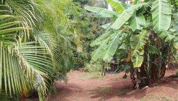 99-460 Fernridge Place C Aiea, Hi vacant land for sale - photo 3 of 12