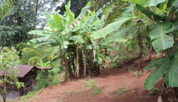 99-460 Fernridge Place C Aiea, Hi vacant land for sale - photo 4 of 12