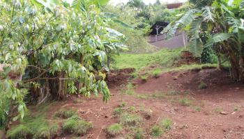 99-460 Fernridge Place C Aiea, Hi vacant land for sale - photo 5 of 12