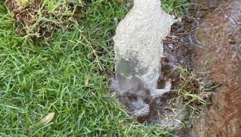 99-766 Holoai St AIEA - Rental - photo 3 of 21