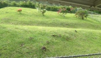 Kuliouou, Diamond Head home - photo 4 of 7