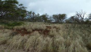0 Ahiu Rd  Maunaloa, Hi vacant land for sale - photo 5 of 7