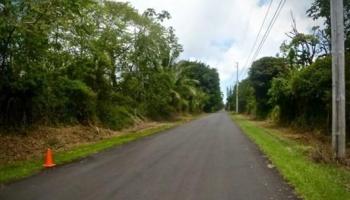 0 Alapai Street  Pahoa, Hi vacant land for sale - photo 3 of 5