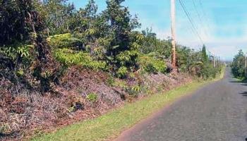 0 Alaula Street  Volcano, Hi vacant land for sale - photo 4 of 4