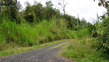 0 Anthurium Street  Puna, Hi vacant land for sale - photo 1 of 1