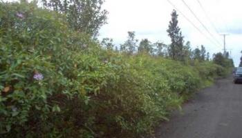 0 Ao Road  Mountain View, Hi vacant land for sale - photo 2 of 6