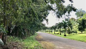 B Alakahi Place  Papaikou, Hi vacant land for sale - photo 1 of 12