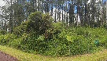 0 Bamboo Drive  Pahoa, Hi vacant land for sale - photo 4 of 10