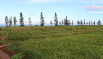 D-102 Ka'ana St Maunaloa, Hi 96770 vacant land - photo 1 of 4 D-102 Ka'ana St Maunaloa, Hi 96770 vacant land - photo 1 of 4