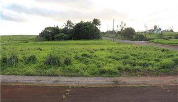 D-102 Ka'ana St  Maunaloa, Hi 96770 vacant land - photo 4 of 4
