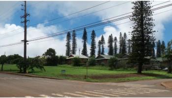 E-08 Mauna Loa Hwy  Maunaloa, Hi vacant land for sale - photo 2 of 3